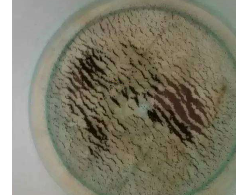 一盆水一层沙！瑞昌桂林自来水厂这样的水能喝吗？