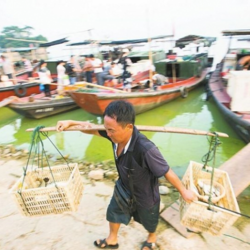 鄱阳湖渔市旺
