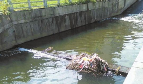 《十里河水色碧绿不清澈》后续