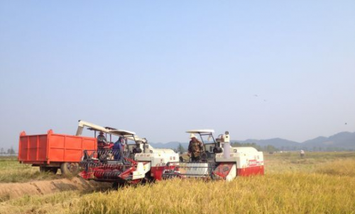 瑞昌赛湖农场粮油基地示范园作业忙