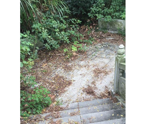 九江修水斥巨资重建唐代古塔却停工荒废 网友称令人心疼