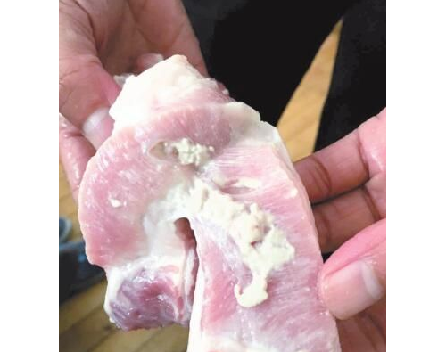 猪肉里流出黄白色胶状异物