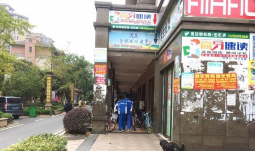 鹤湖学校门口“古惑仔”暴力勒索何时休？！