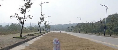 九江彭泽一马路变成晒谷场 半幅车道被占无法通行