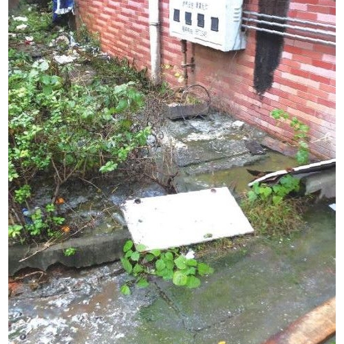 九江长虹家园 下水道堵塞一个多月无人管