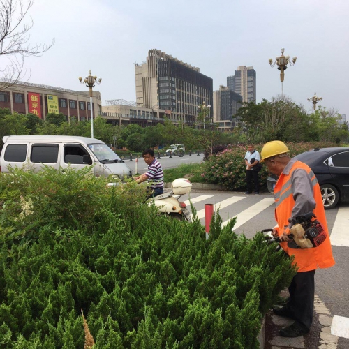 九江一地方植物生长过高影响车辆出行视线，易造成事故 市园林管理局回复→