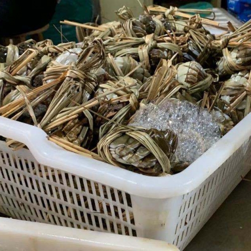九江吃货注意：蟹来了! 母蟹10～30元一只