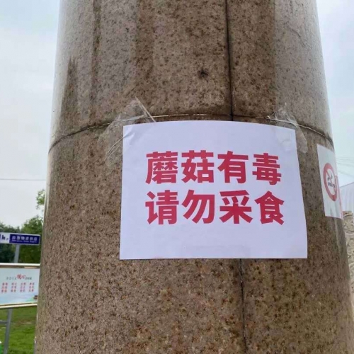 九江人注意，有毒！遇见野蘑菇 千万别贪吃！