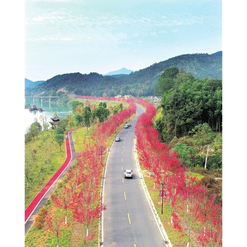 两亩地社区积极协调更换路灯，照亮居民回家路
