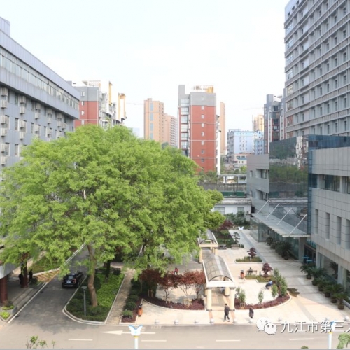 奔走相告 | 九江市第三人民医院招聘在编卫生专业技术人员40名