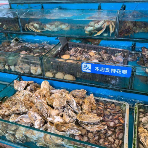 近期，九江海鲜价格不低，销售不温不火